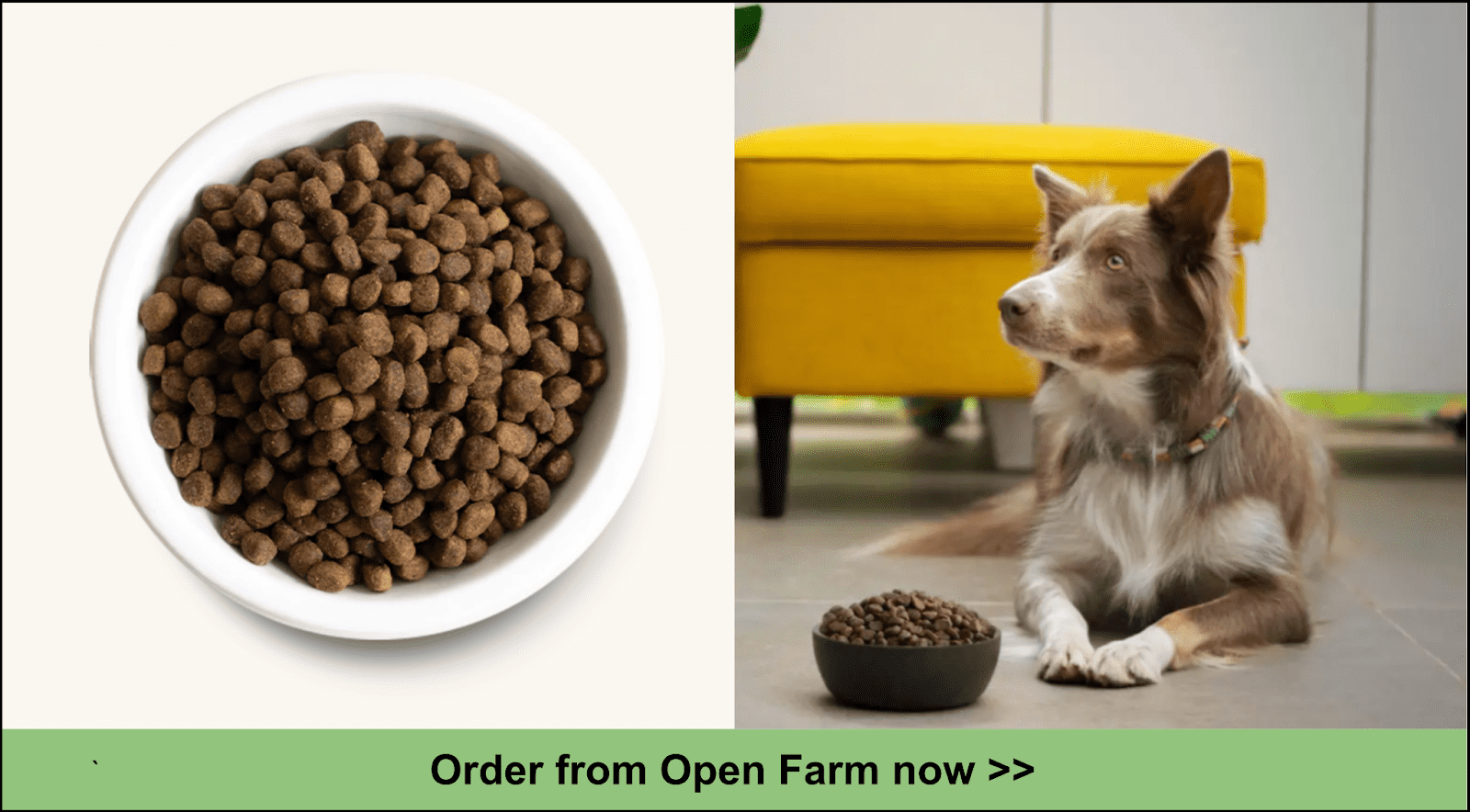 Caliendo Pet Food Service Srl at Greg Turner blog