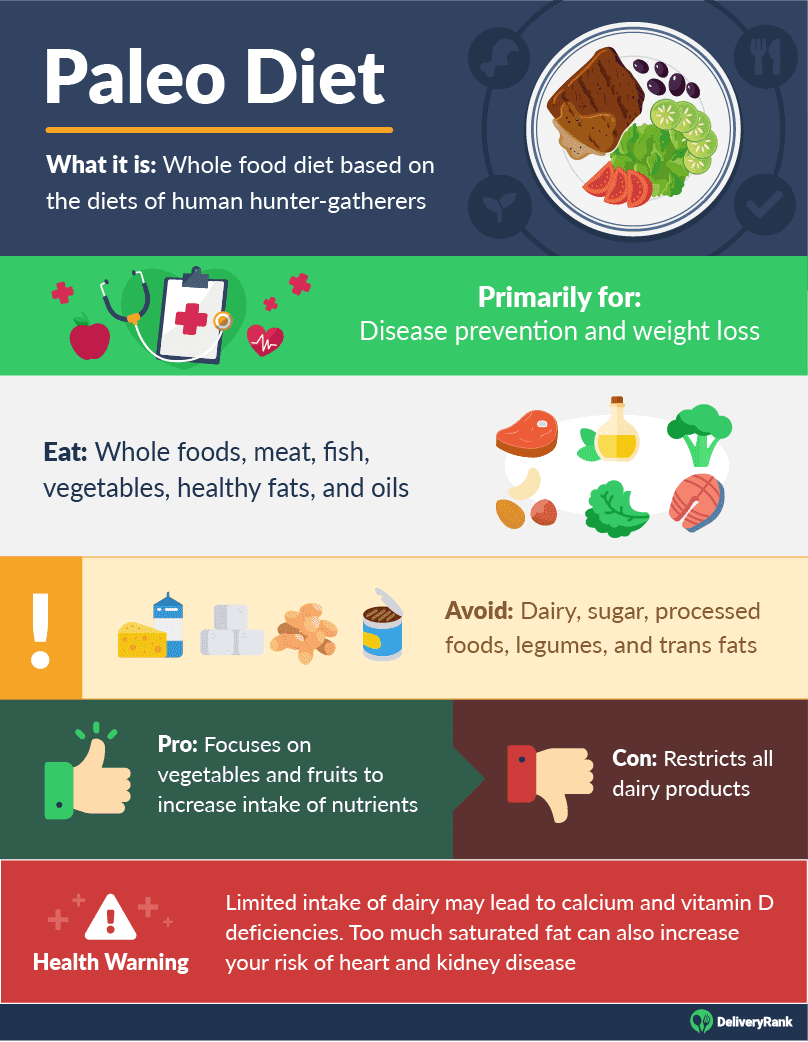 Diets A Beginner's Guide to Every Major Plan