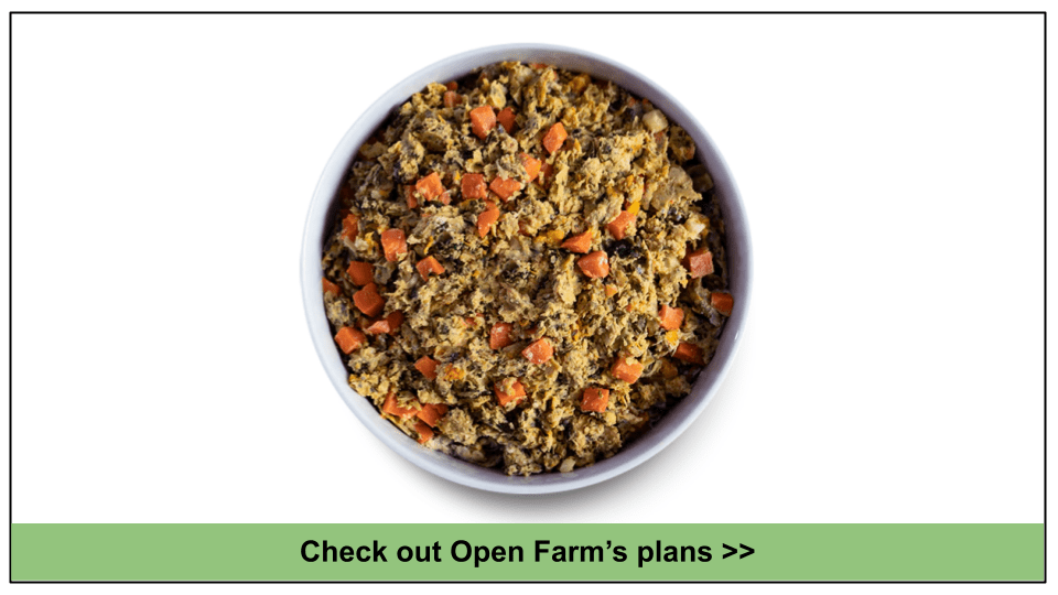 10 Best Fresh Dog Food Delivery Services 2023