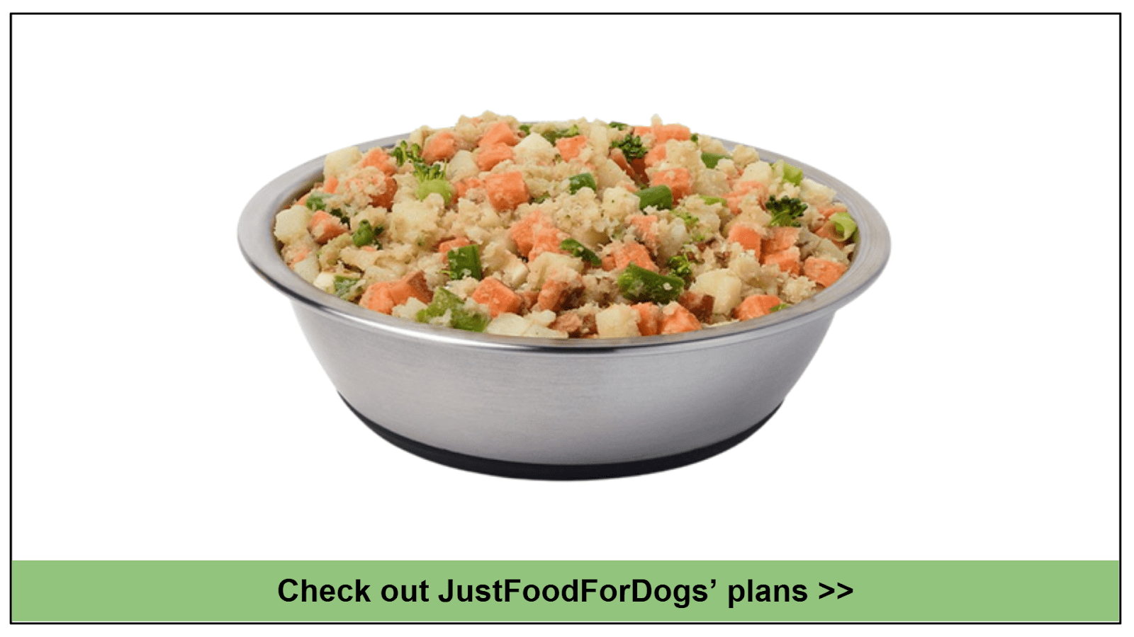 10 Best Dog Foods for Pitbulls with Skin Allergies 2024