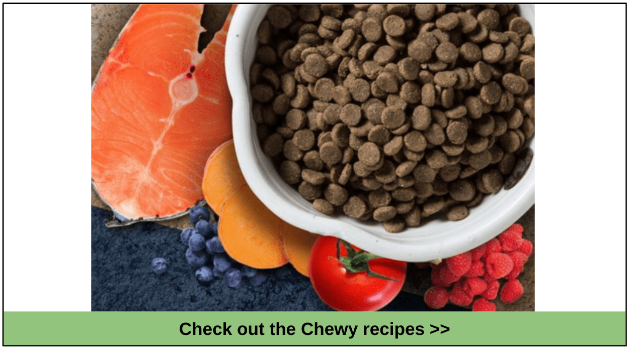 10 Best Chewy Dog Food Picks for 2023 Your Pup Will Adore