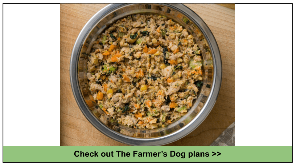 10 Best Fresh Dog Food Delivery Services 2023 Updated List