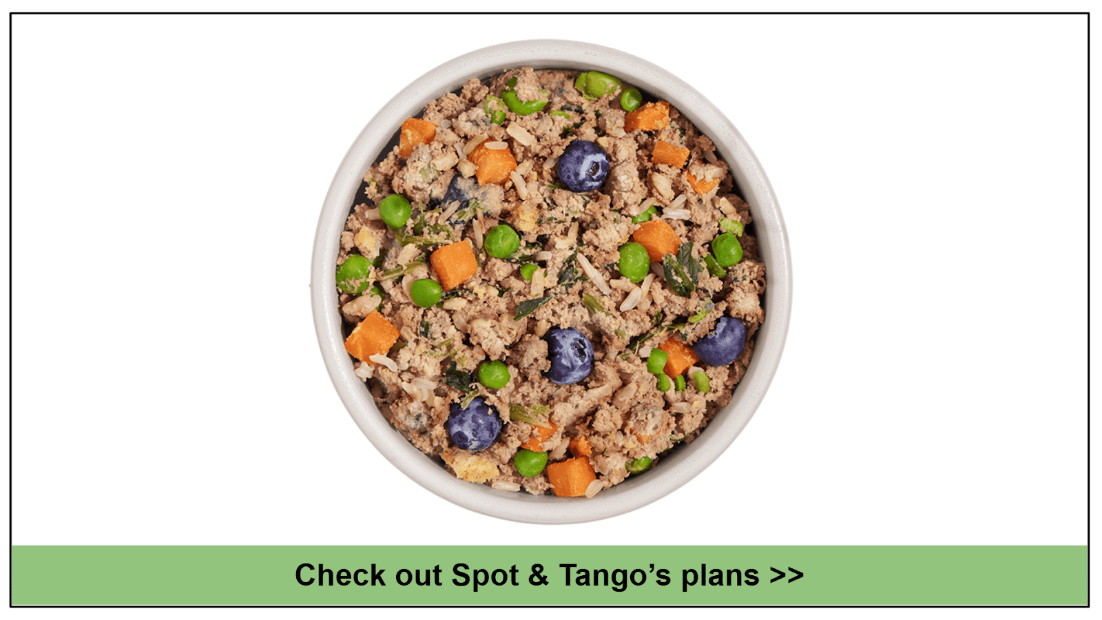 10 Best Dog Foods for Pitbulls with Skin Allergies 2024