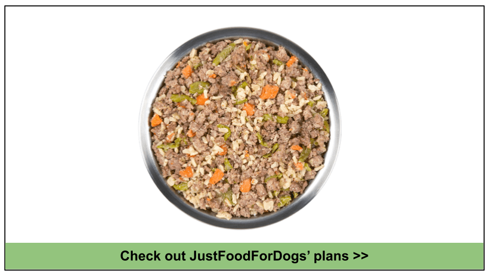 10 Best Dog Food Delivery For a Great Dane in 2023