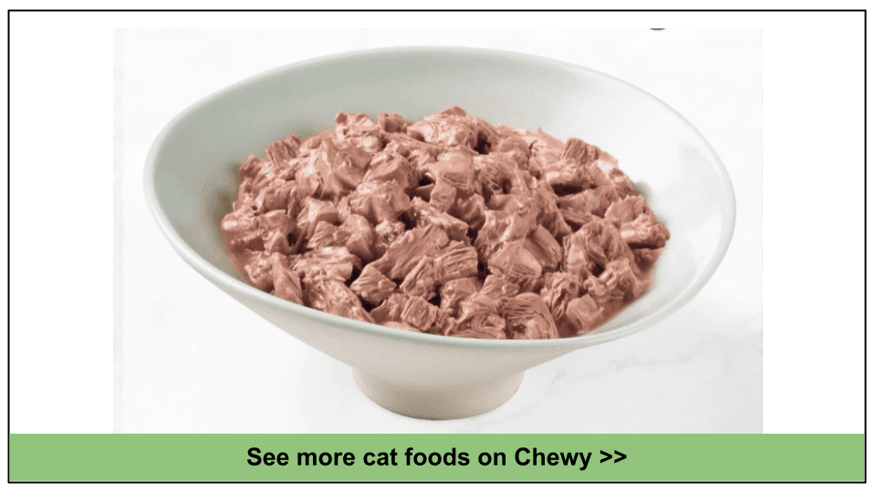 10 Best Chewy Cat Foods 2024 Expert Top Picks