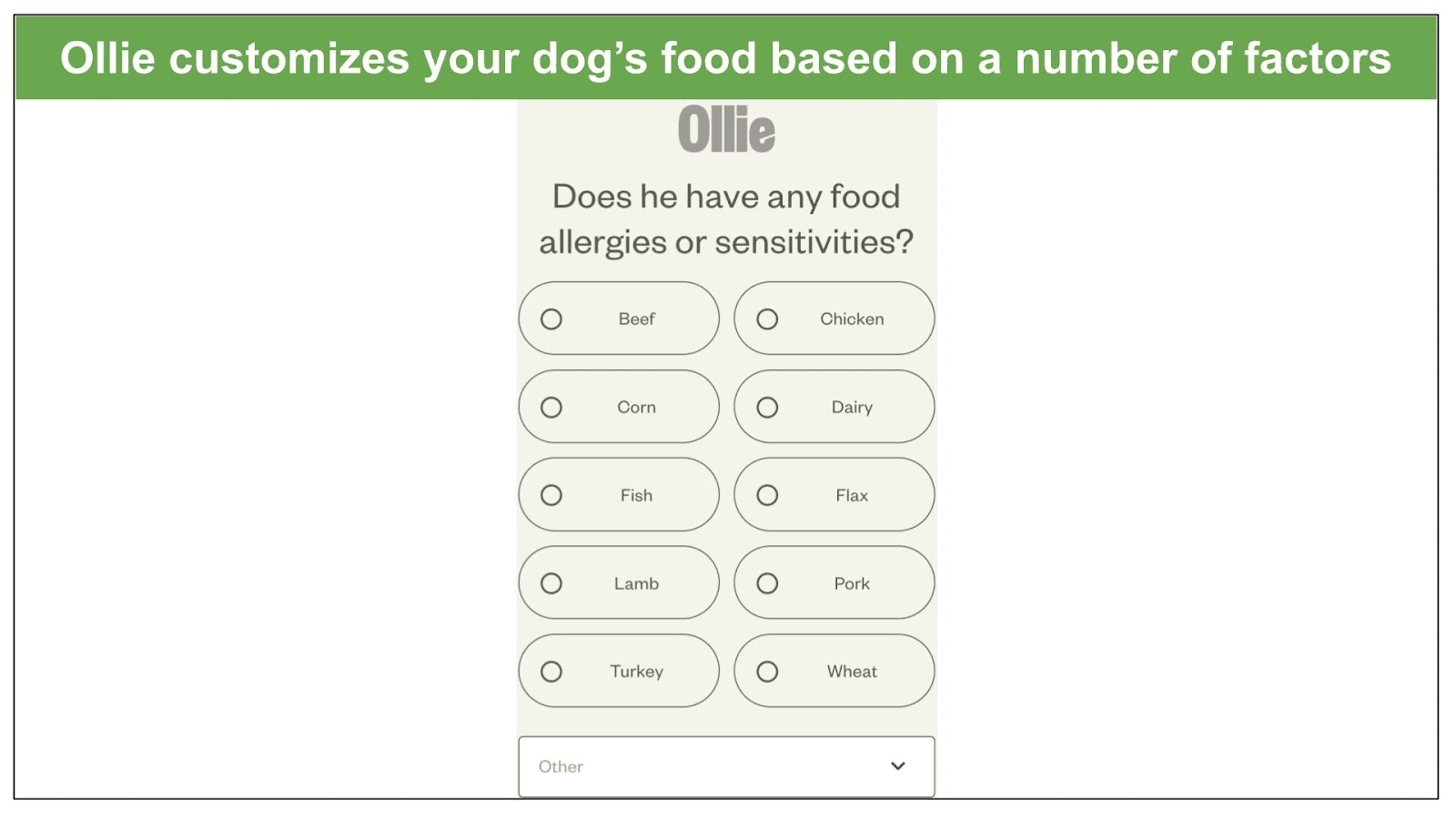 Ollie vs. The Farmer's Dog vs. Nom Nom 2023 Only One Winner