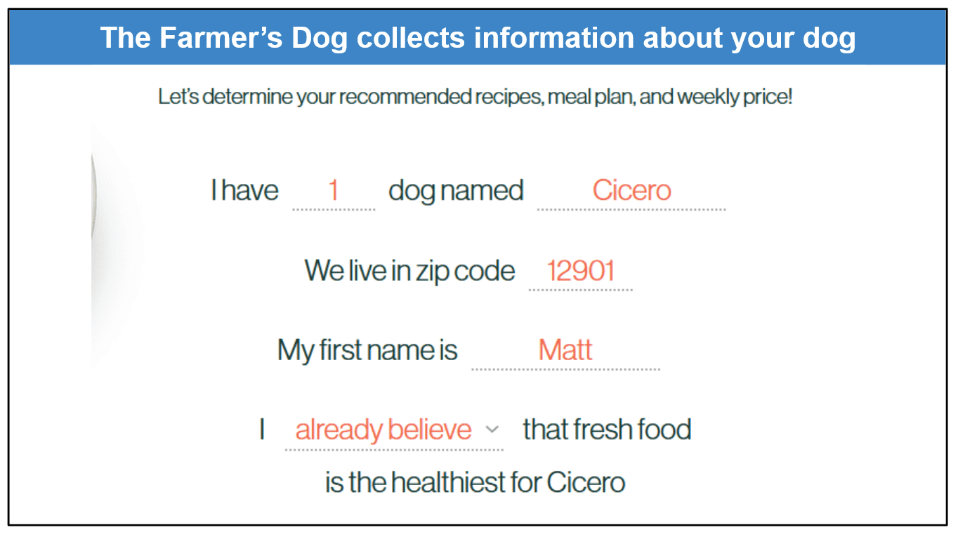 Freshpet vs. The Farmer’s Dog 2022 Variety or Convenience?