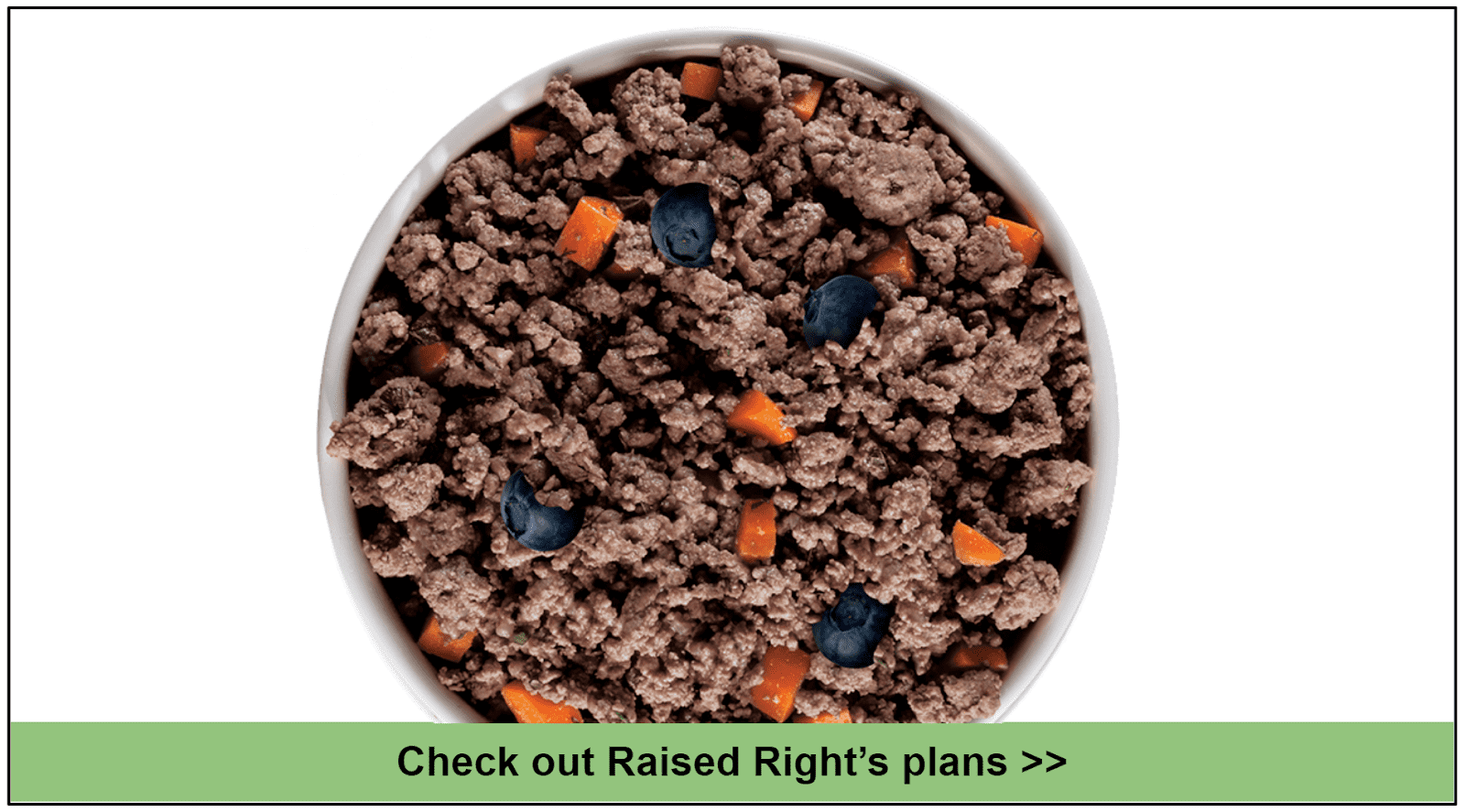 10 Best Dog Food Delivery for Pomeranians in 2024