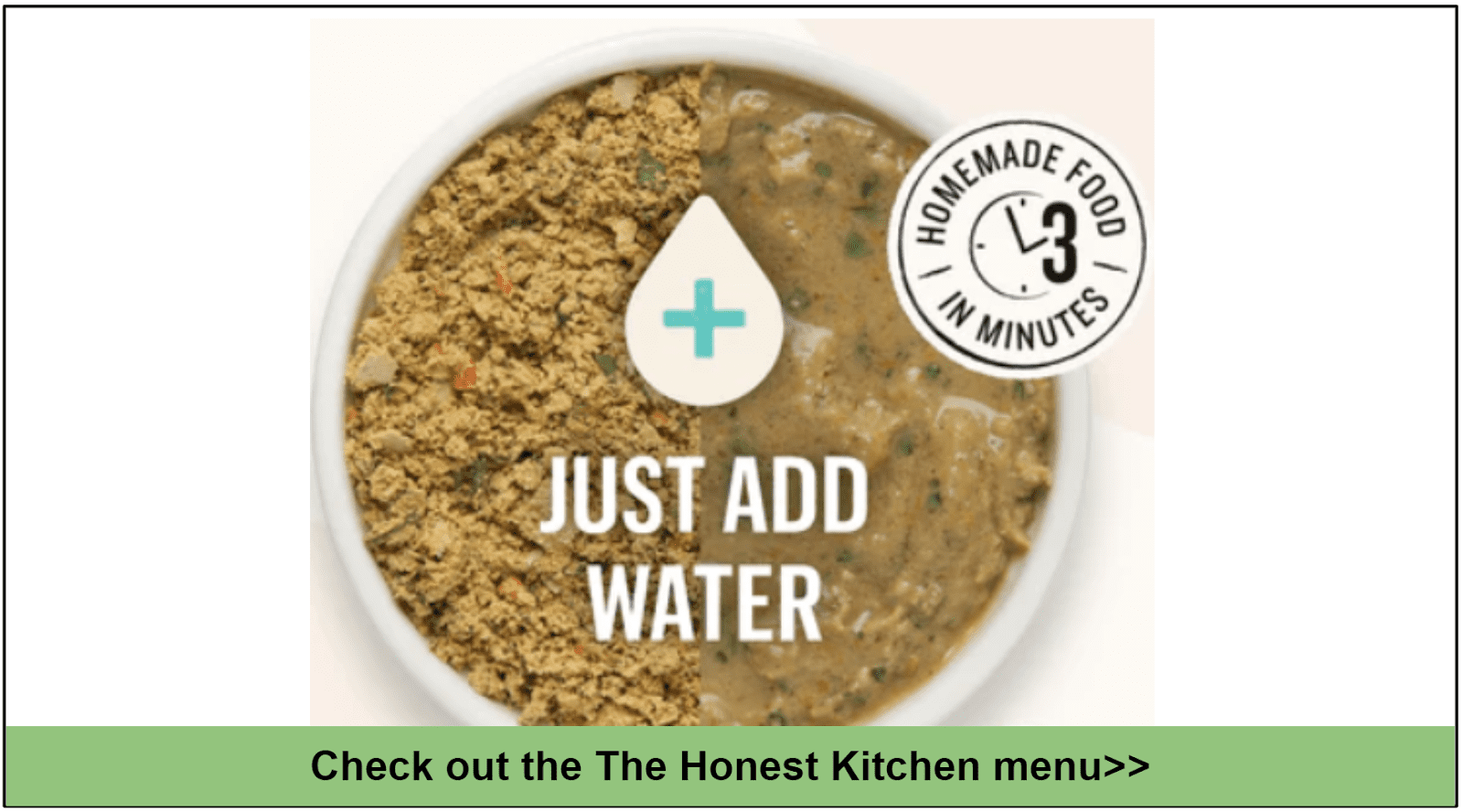 10 Best Food Services for Pets with Sensitive Stomachs 2023