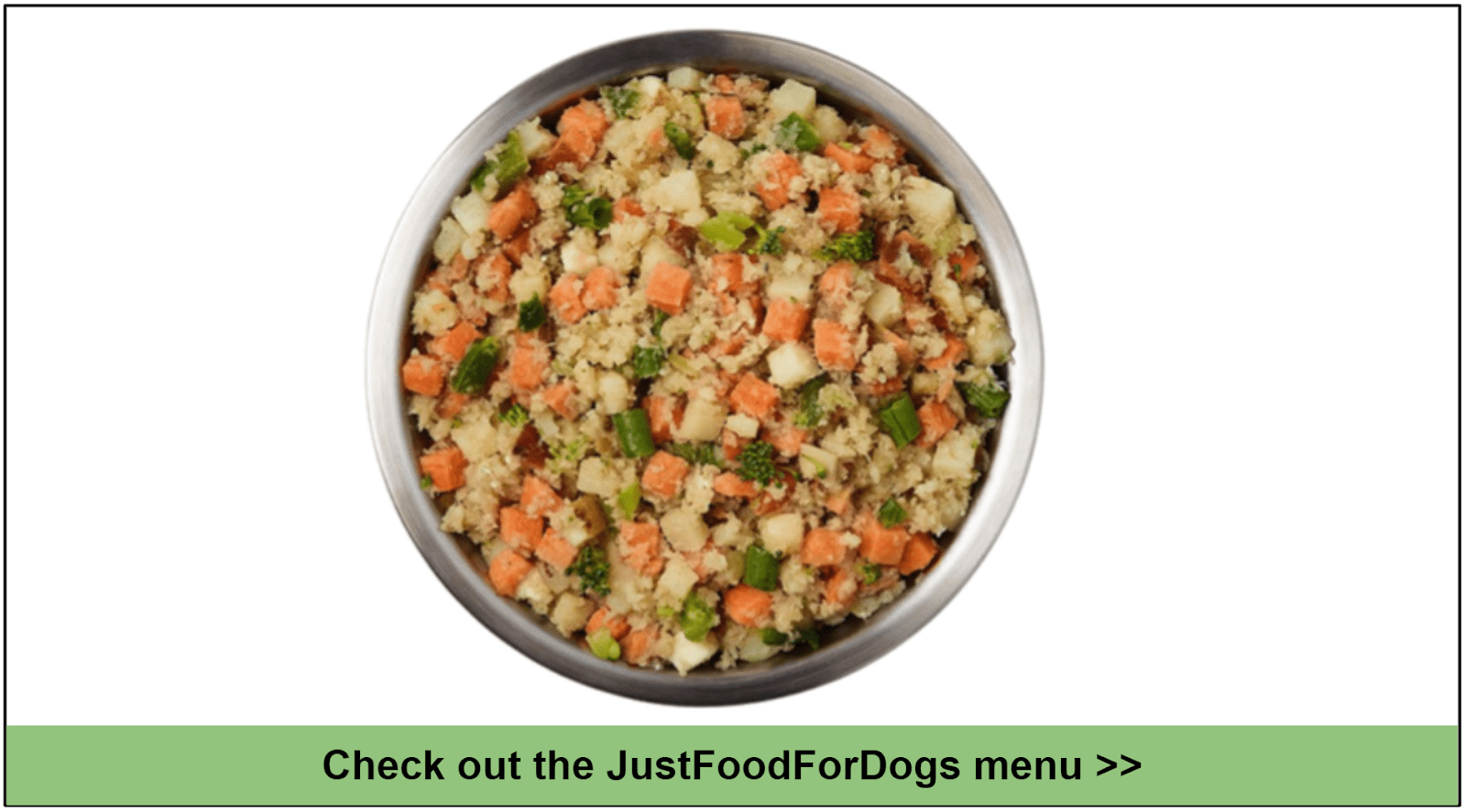 10 Best Healthy Dog Food Delivery Services for 2023