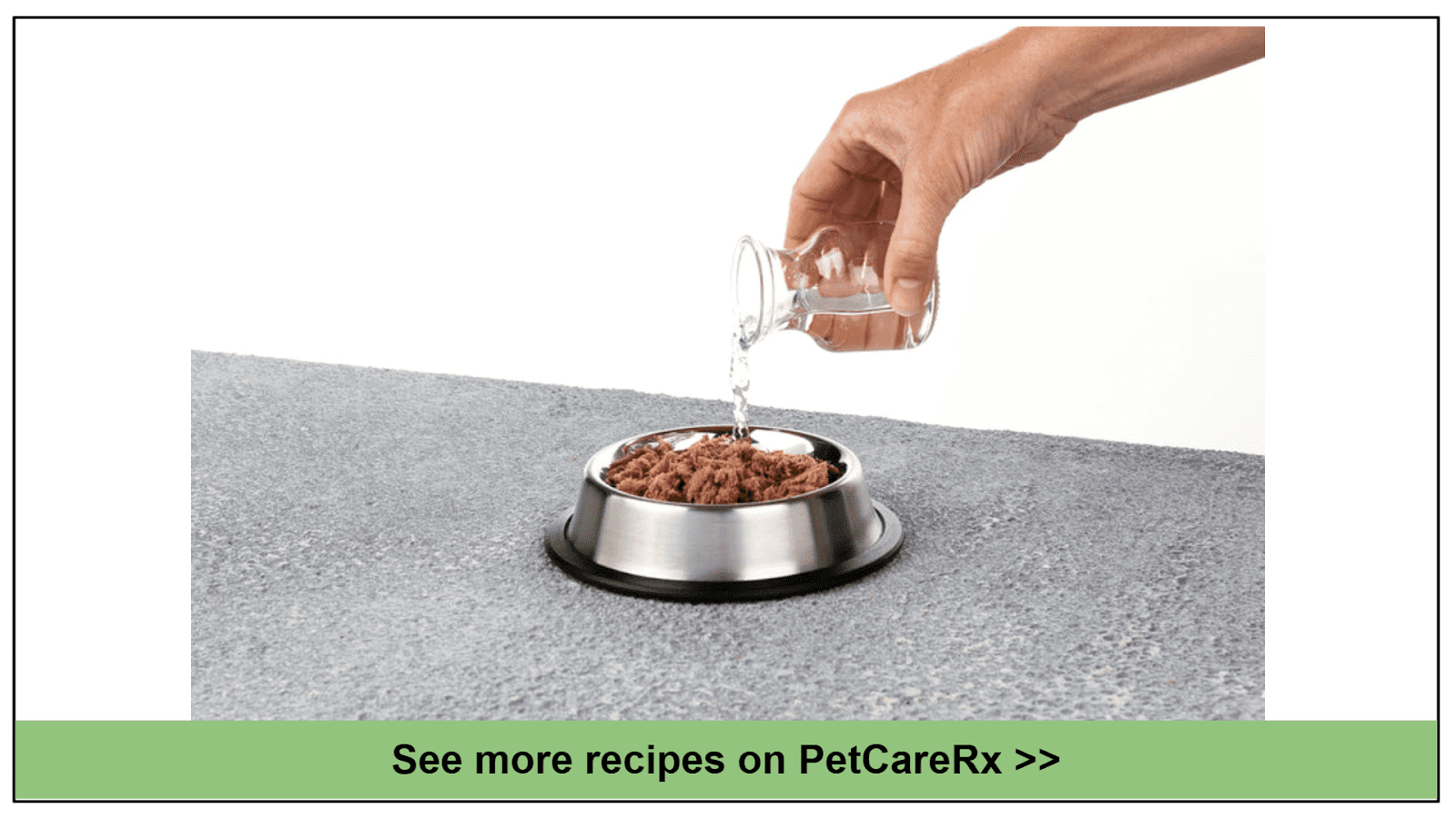 6 Best Raw Cat Food Delivery 2024 Plus Coupons!