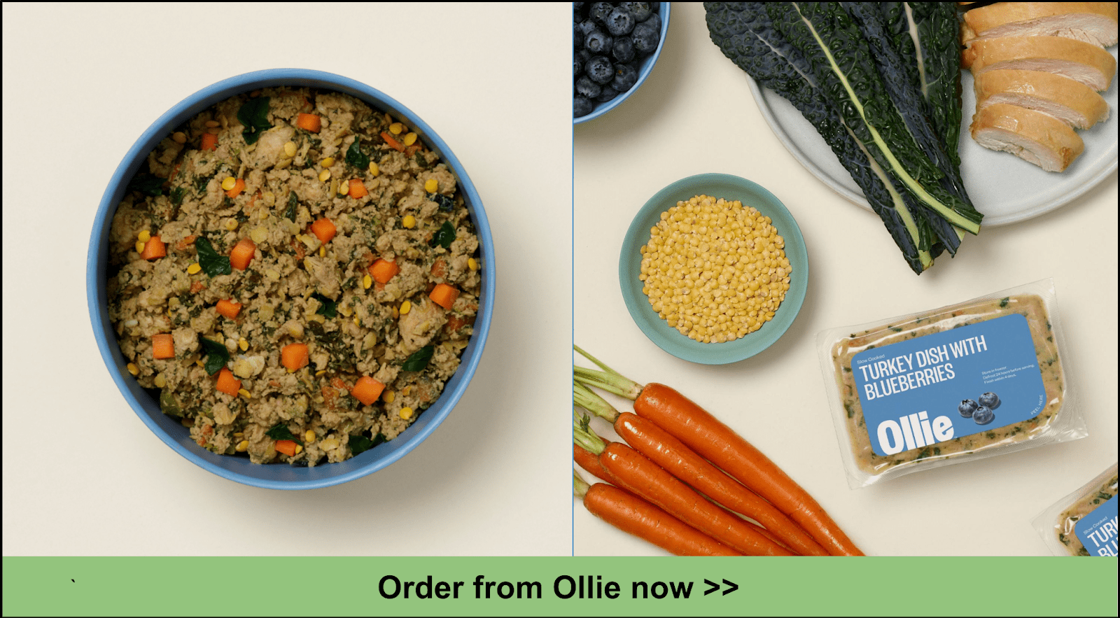 10 Best HumanGrade Dog Food Delivery Services 2022