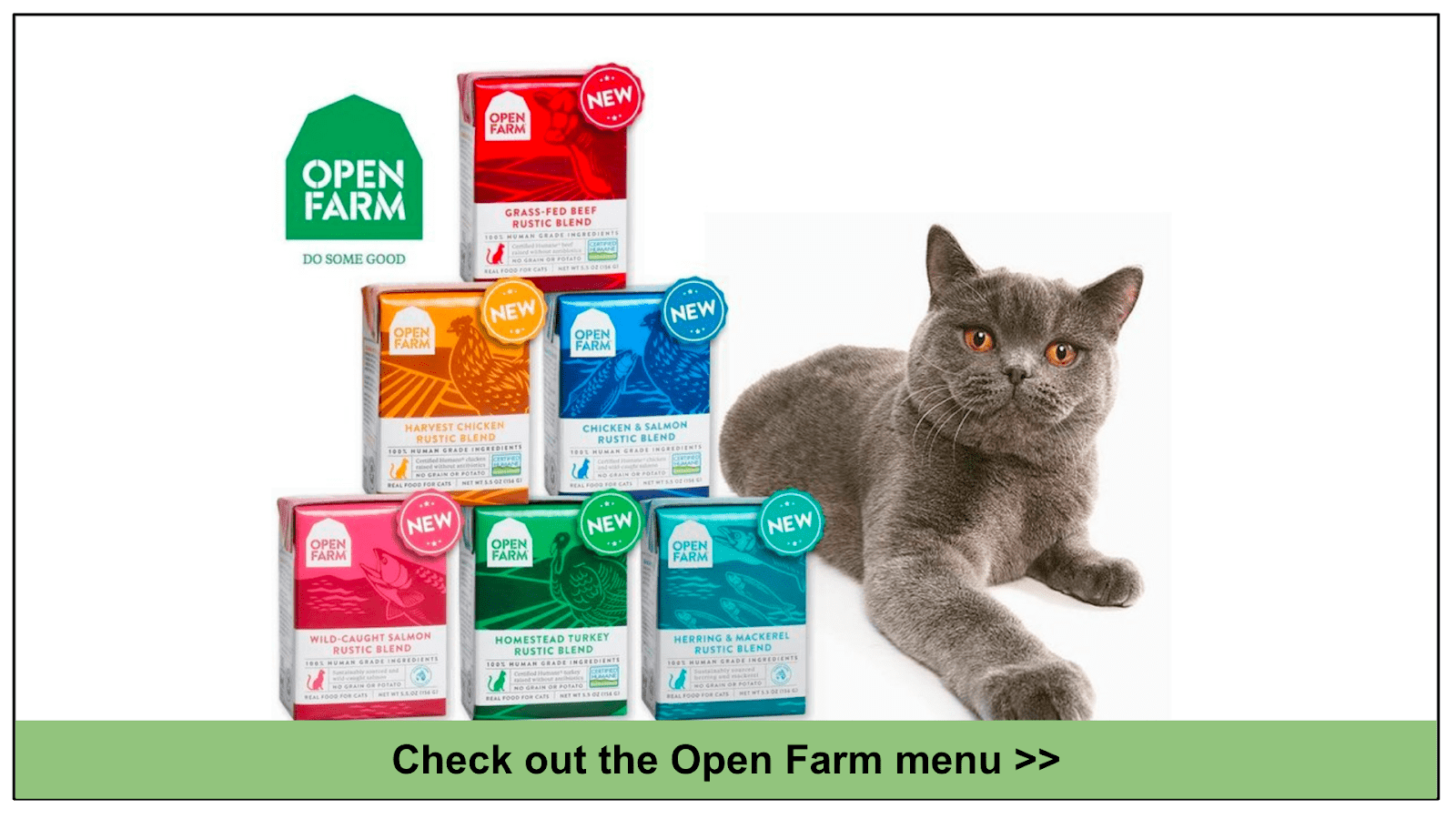 6 Best Cat Food Delivery Services 2024 Ranked