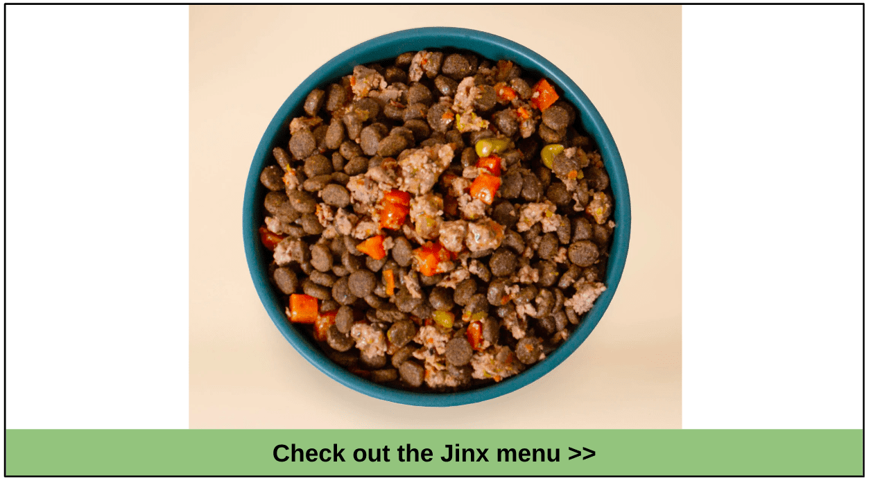 10 Best Dog Food Delivery for Border Collies in 2023