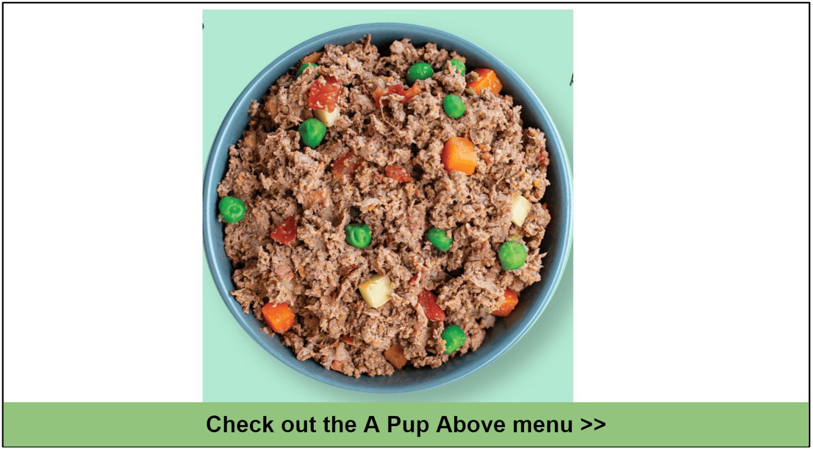 10 Best Healthy Dog Food Delivery Services for 2023
