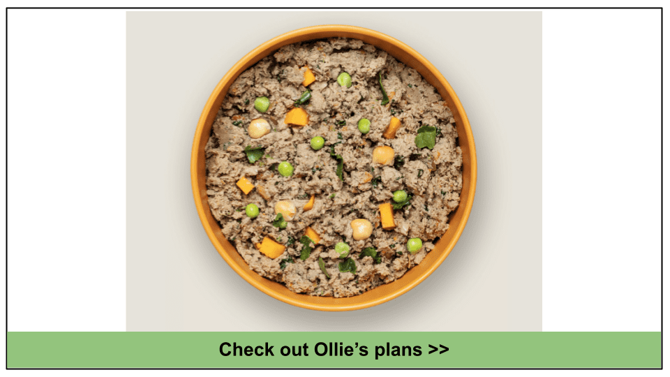 10 Best Dog Food Delivery for Belgian Malinois in 2024