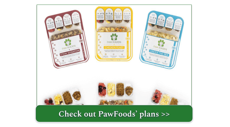 10 Best Subscription Dog Food Delivery 2024 Fast & Healthy