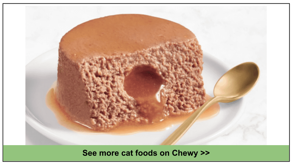 10 Best Chewy Cat Food Picks 2023 Which Will You Choose?