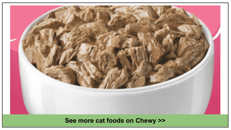 10 Best Chewy Cat Foods 2024 Expert Top Picks
