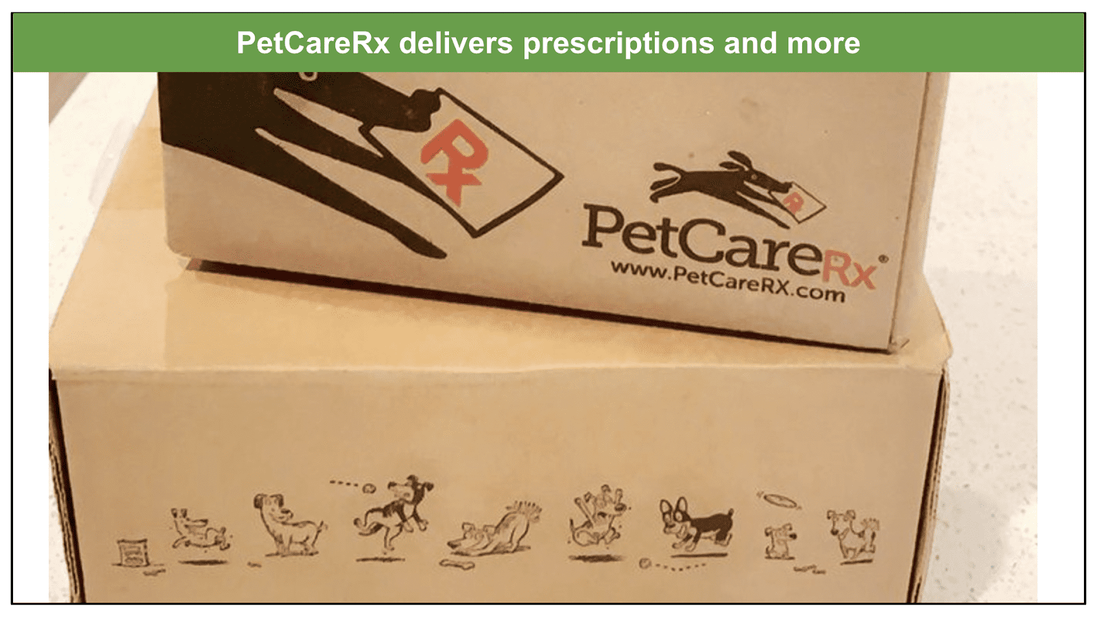 PetCareRx Review 2023 More Than Just Pet Prescriptions?