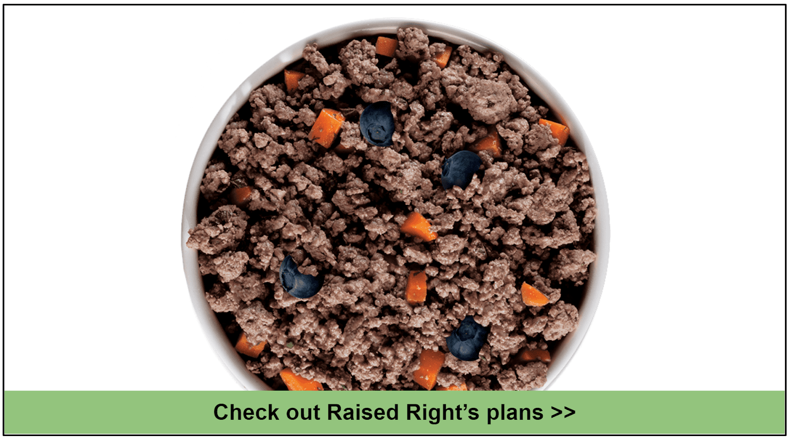 10 Best Dog Food Delivery For Bernese Mountain Dogs 2024