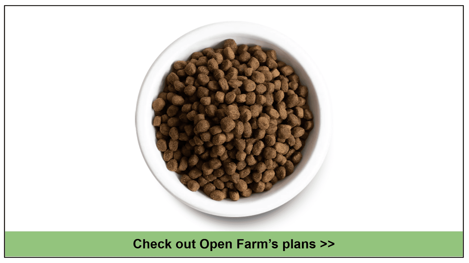 10 Best Dog Foods for Pitbulls with Skin Allergies 2024