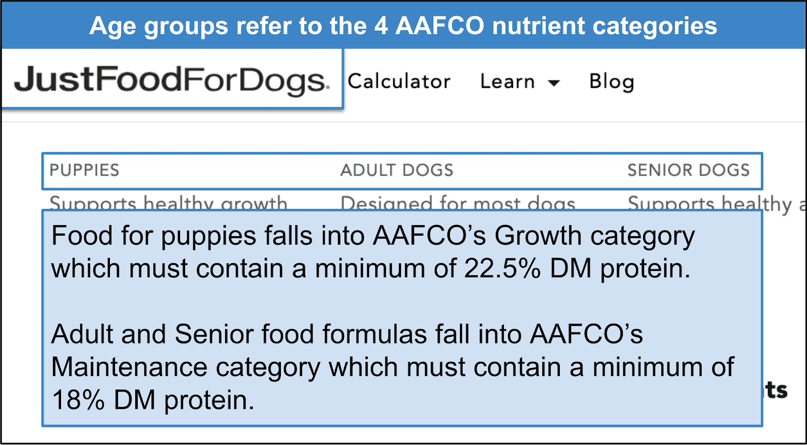 How Much Protein is in Dog Food InDepth Analysis