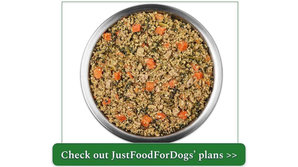 Best Dog Food for Skin Allergies 2024