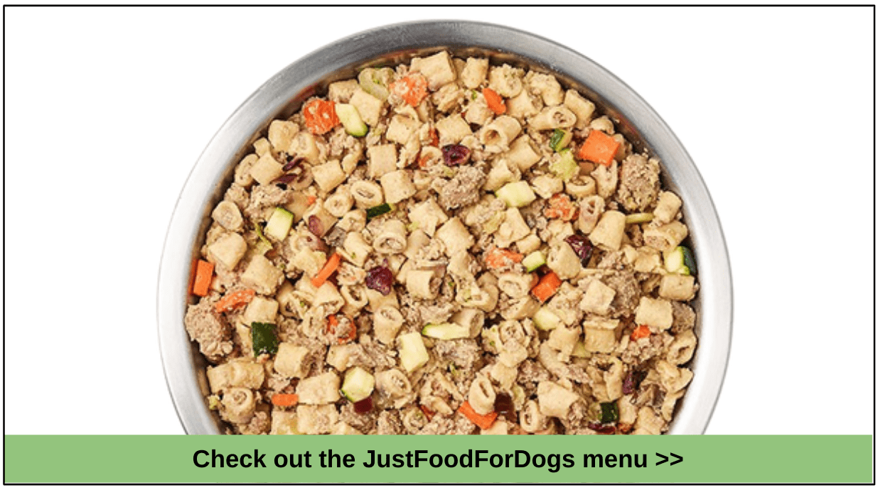 10 Best Dog Food Deliveries for Italian Greyhounds in 2023