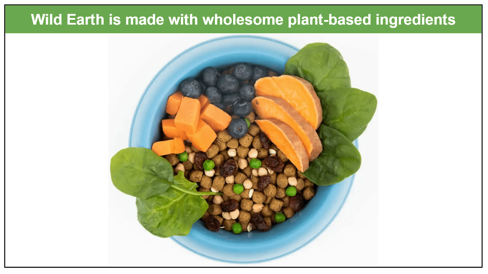 Wild Earth Review 2024 Vegan Food For Dogs