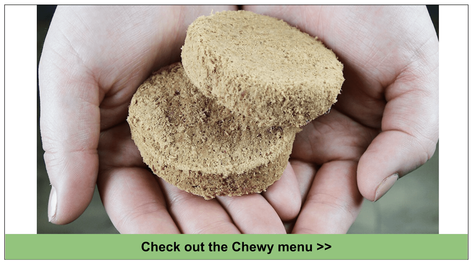 Best Raw Dog Food Delivery 2022 Which Will Your Dog Love?