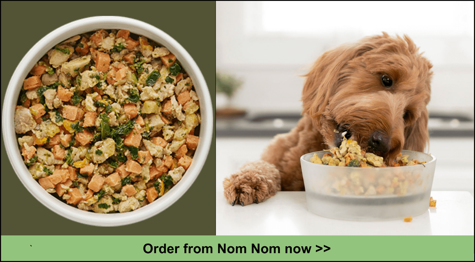 10 Best Healthy Dog Food Delivery 2023 Expert Ranked