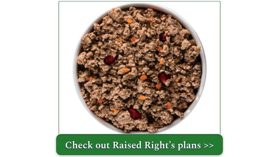 Best Dog Food for Skin Allergies 2024