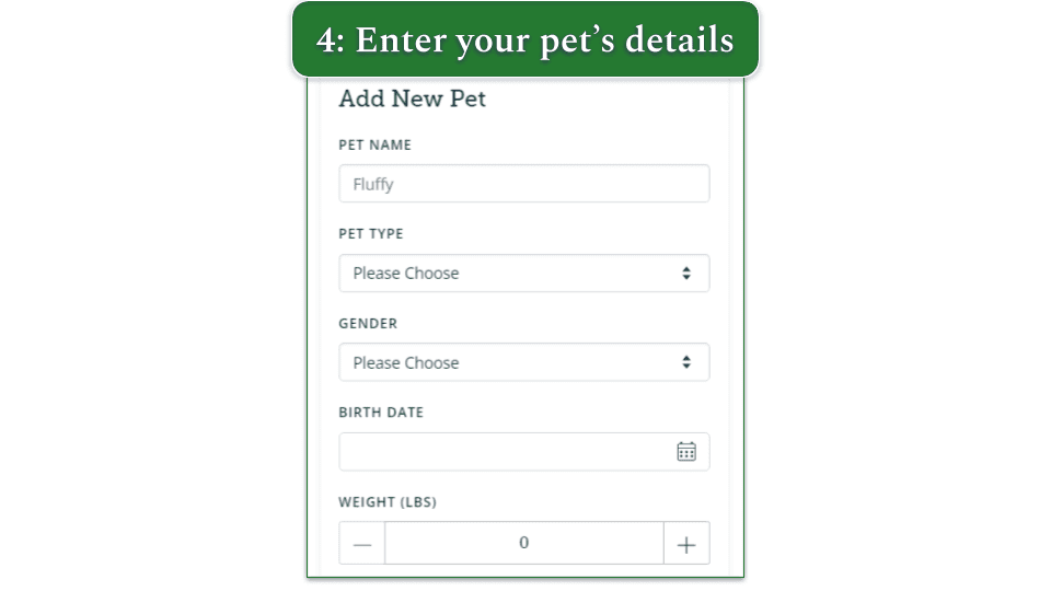 PetCareRx Review 2024 Prescriptions + More