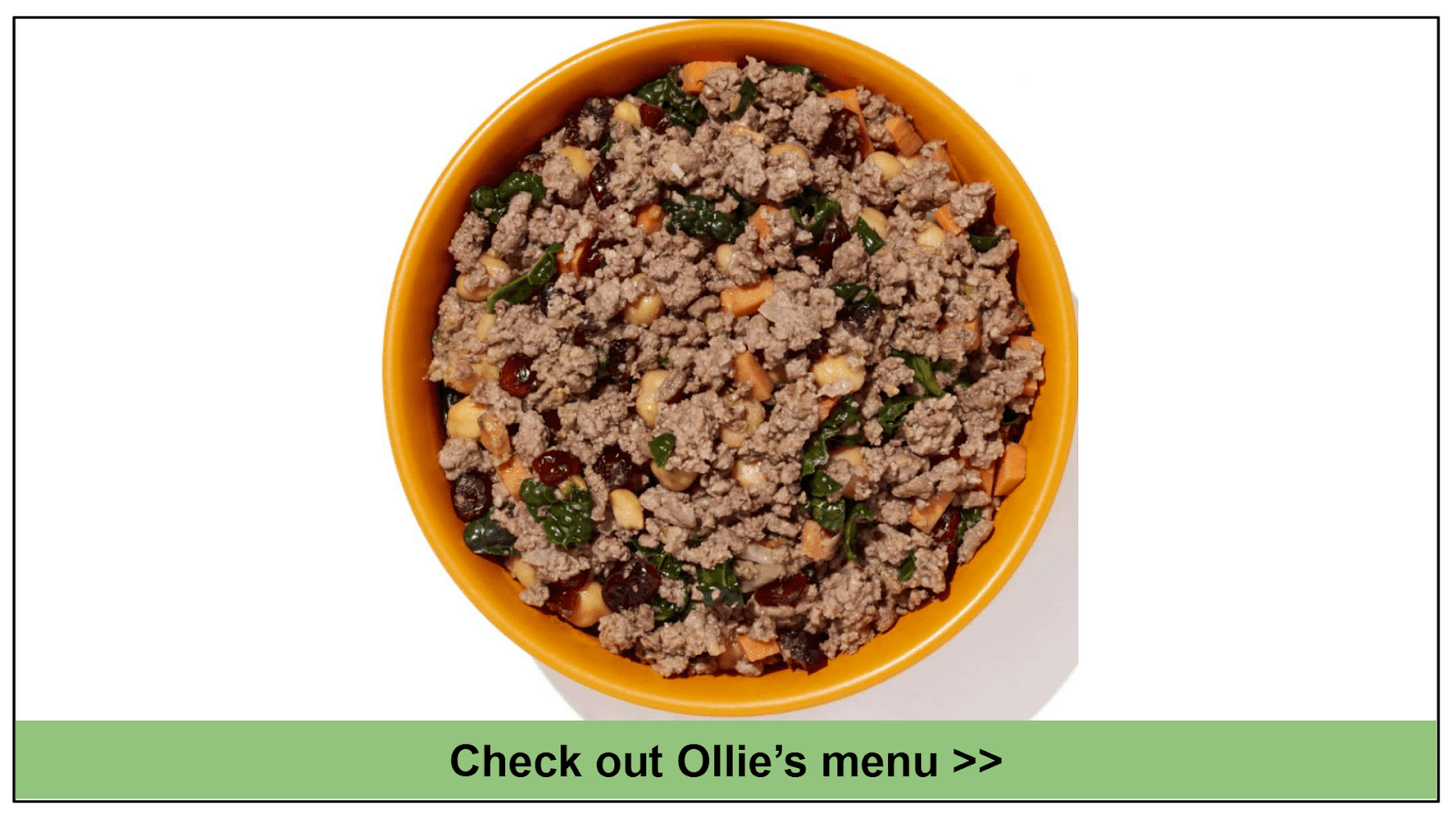 8 Best Fresh Dog Food Delivery Services 2022 Plus Discounts!