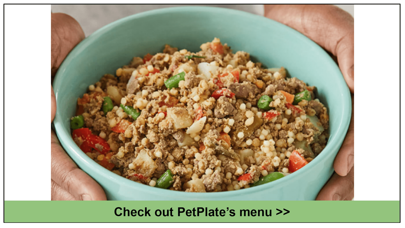 8 Best Fresh Dog Food Delivery Services 2022 Plus Discounts!