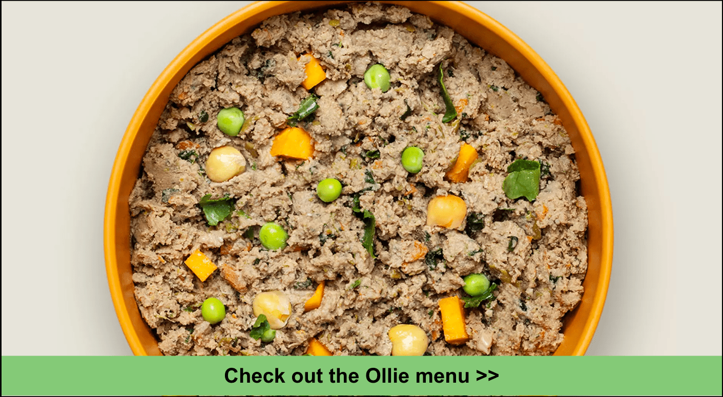 10 Best Dog Food Deliveries for Italian Greyhounds 2024