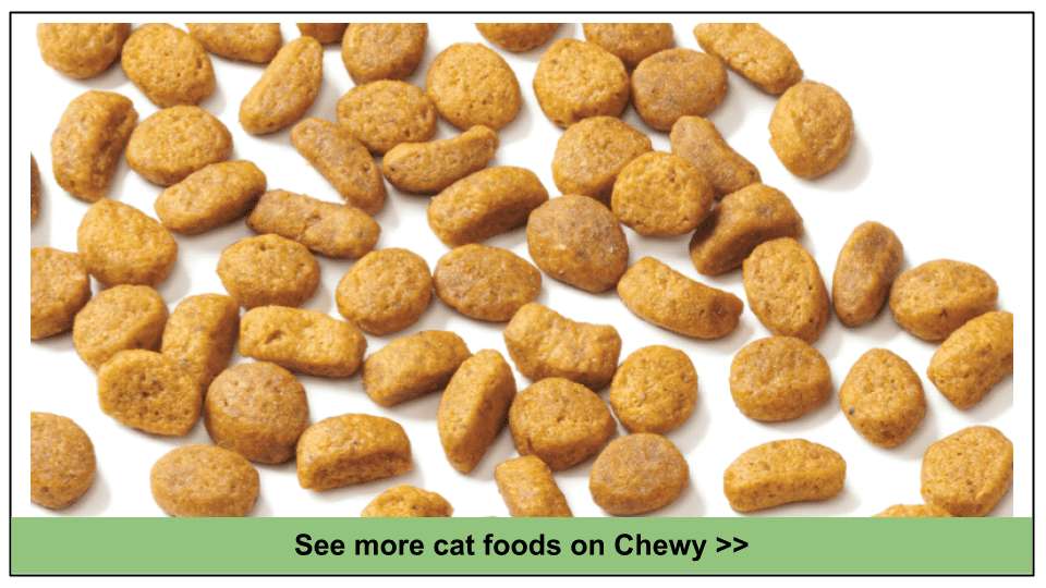10 Best Chewy Cat Food Picks 2023 Which Will You Choose?
