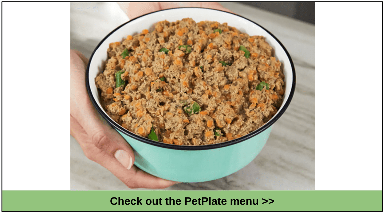 Best GrainFree Dog Food Delivery Services for 2023