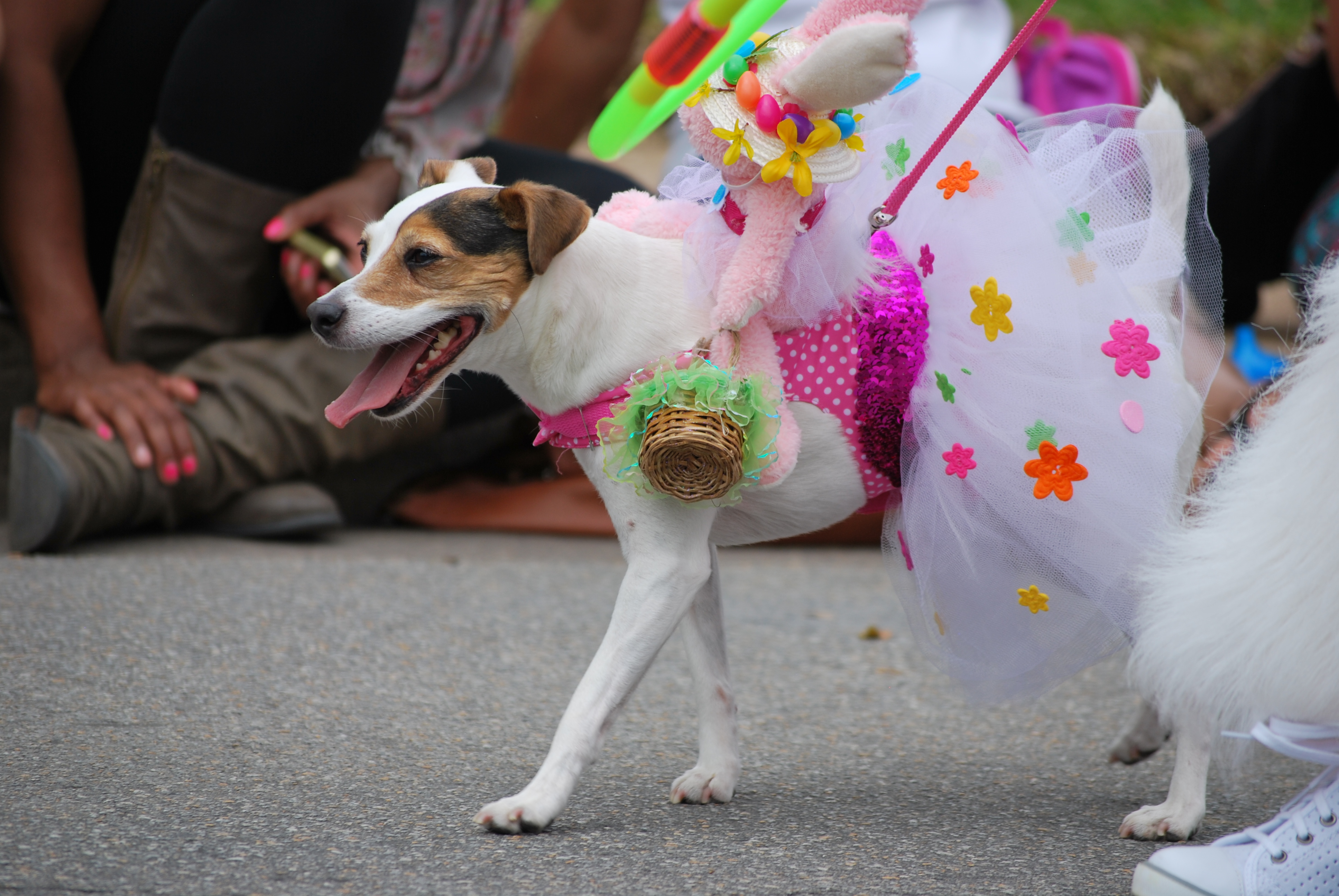 5 FamilyFriendly Things To Do For Easter Weekend in Dallas D Magazine