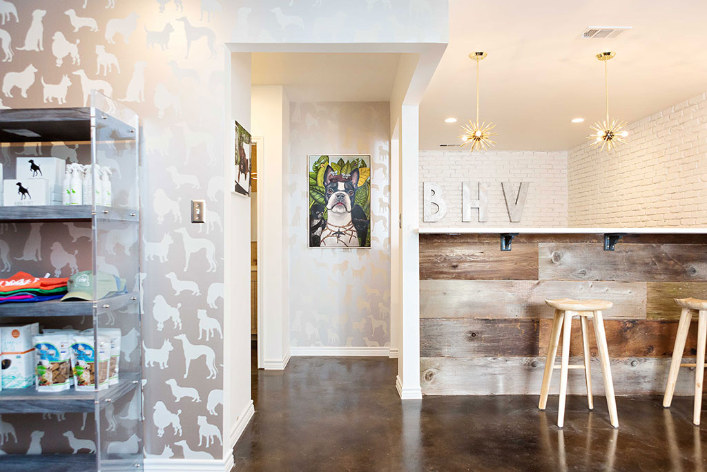 Take a Tour of This Seriously Chic Dallas Pet Hotel D