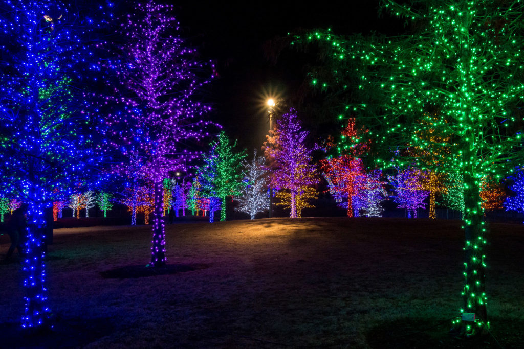 Christmas Lights Dallas 2022 Where To See The Best Christmas Lights In Dallas - D Magazine