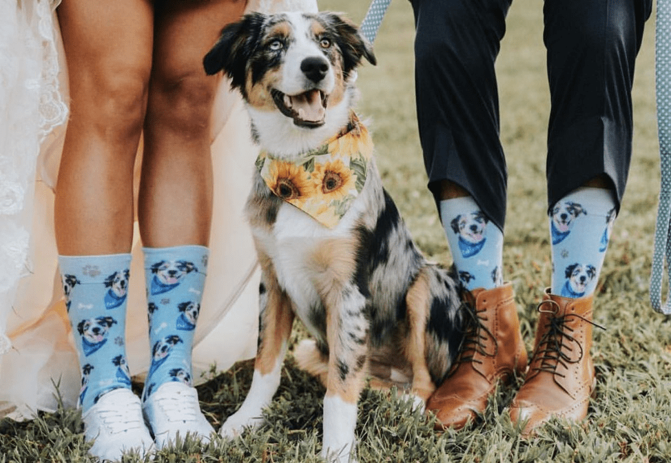 Custom Pet Art Socks atelieryuwa.ciao.jp