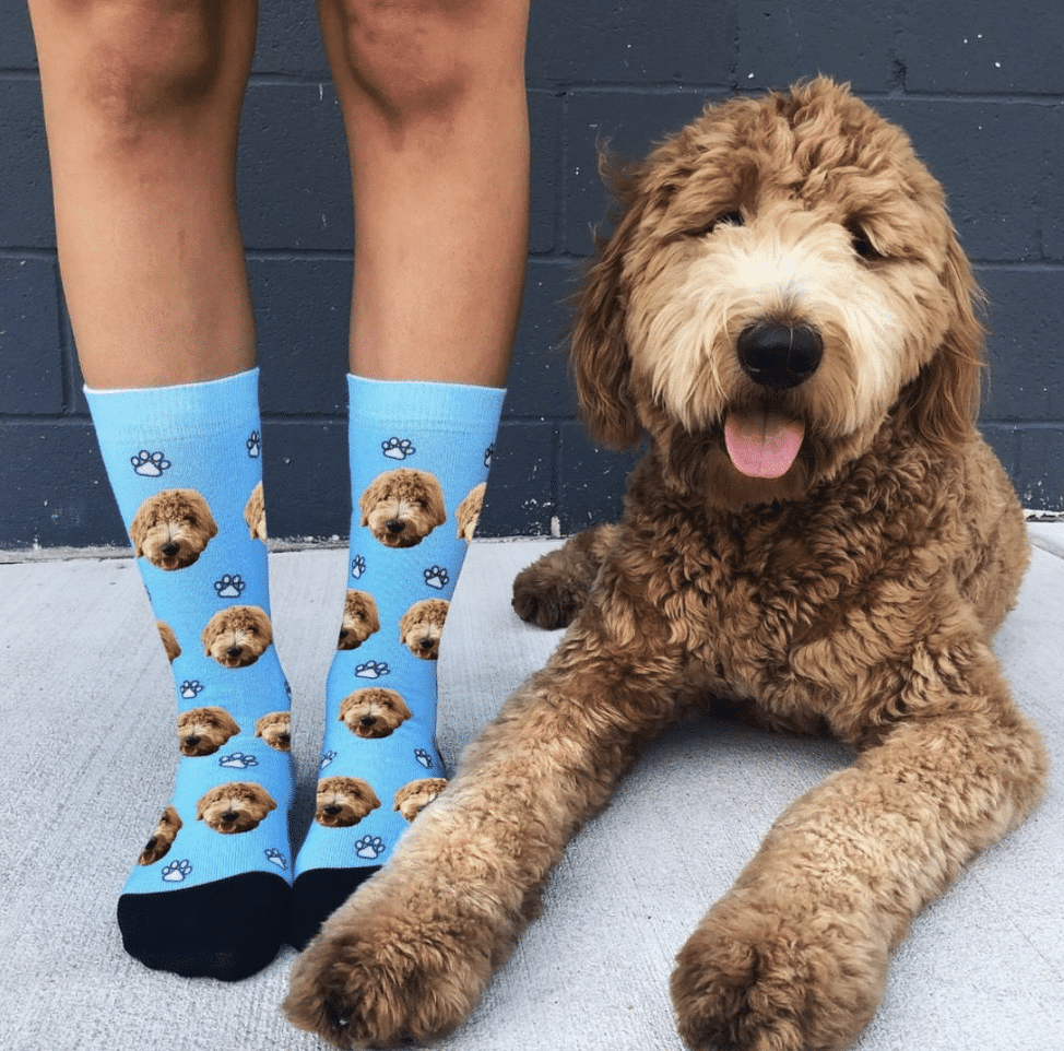 25 Best Custom Dog Socks to Buy Right Now D Magazine