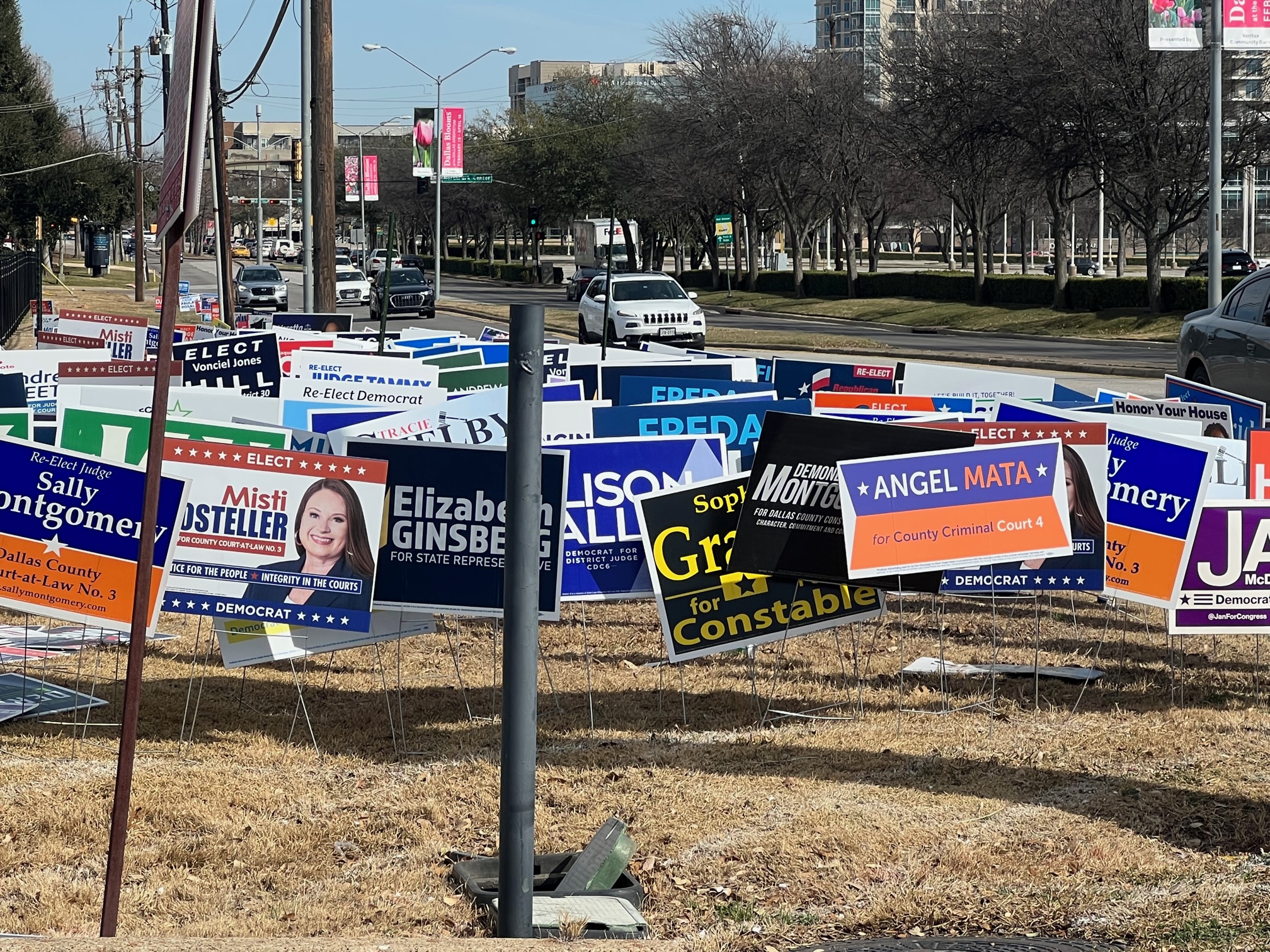 Here's a Breakdown of Everyone on the Primary Runoffs Ballot Tomorrow