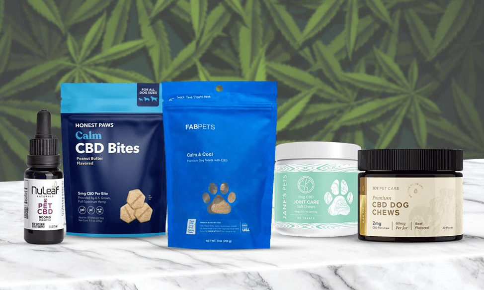 Which Cbd Product Is Best For My Dog