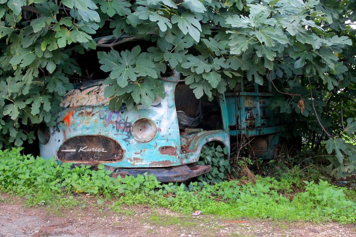 A Comprehensive Barn Find Guide Dyler