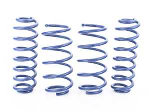 Volkswagen Tiguan MQB 4Motion 2.0T Gen3 Lowering & Replacement Springs