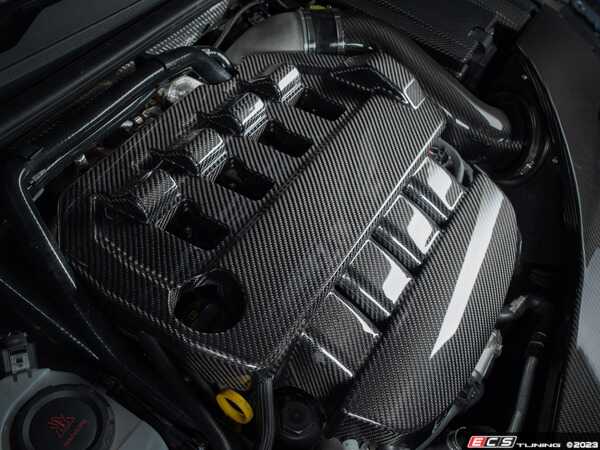 ECS - 043021la01KT - MK8 GTI / Golf R Carbon Fiber Engine Cover