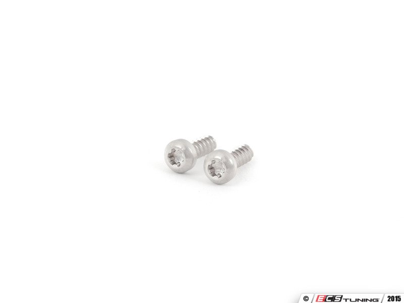 ECS 010985ecs01KT License Plate Light Screw Pair